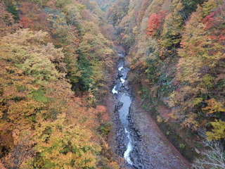 DSCN9647.JPG